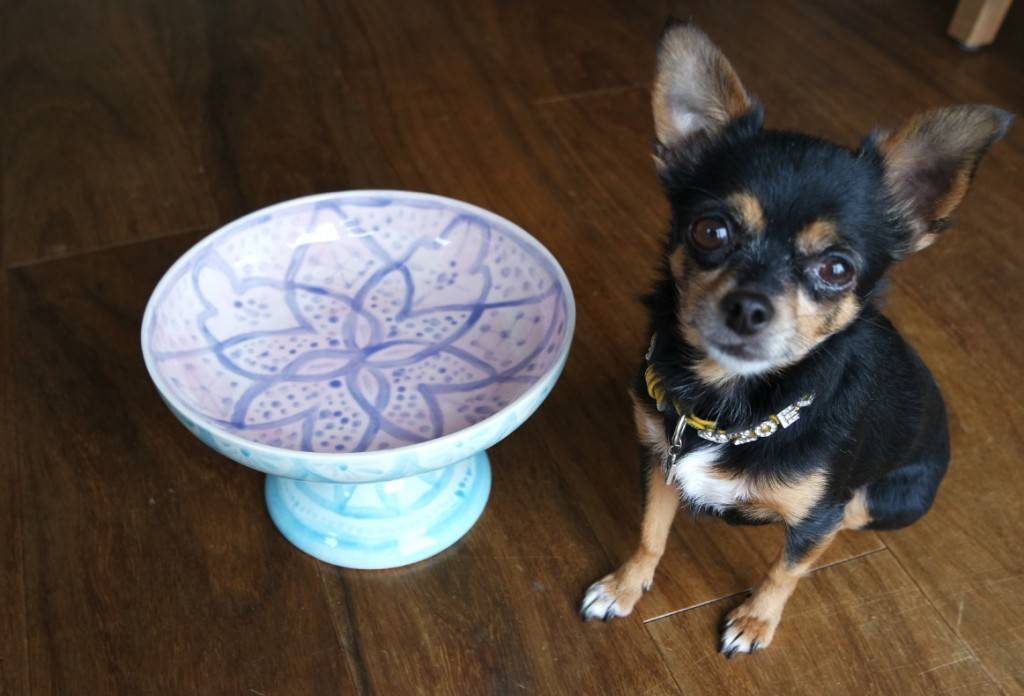 ook zoe moet er bij natuurlijk