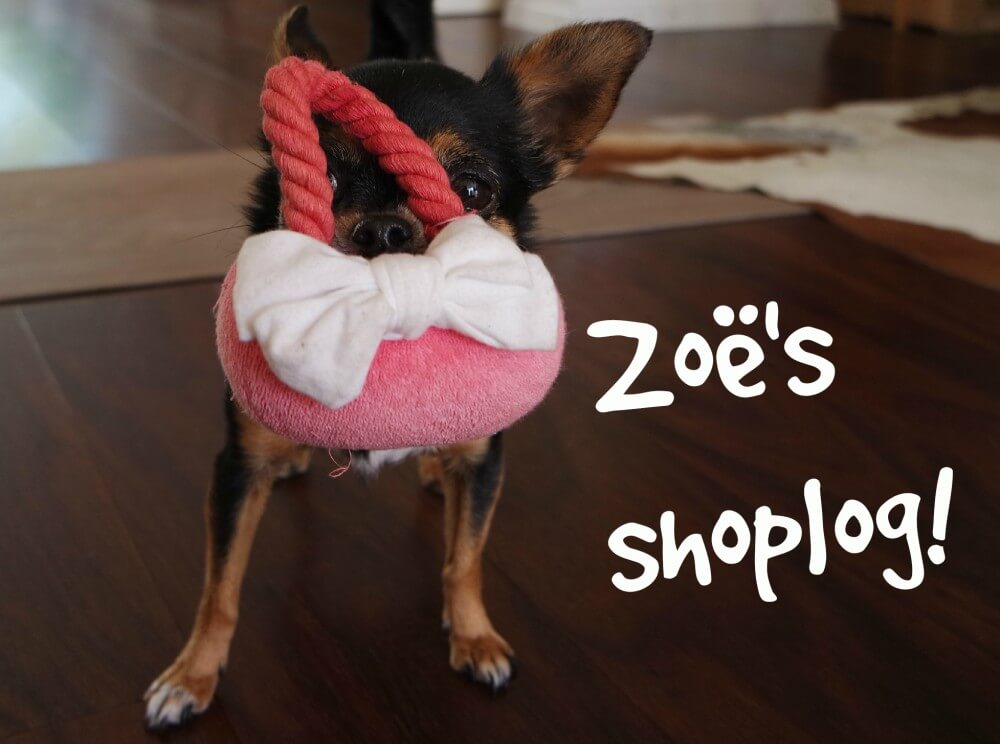 Shoplog hond, chihuahua zoe