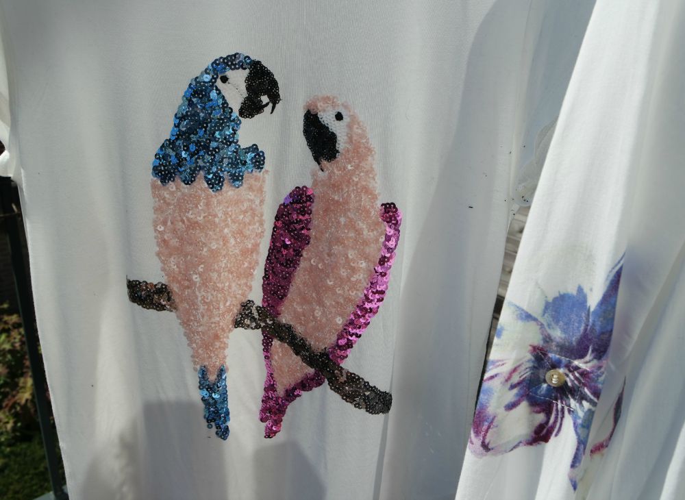 T-shirt papegaai H&M & Blouse mexx