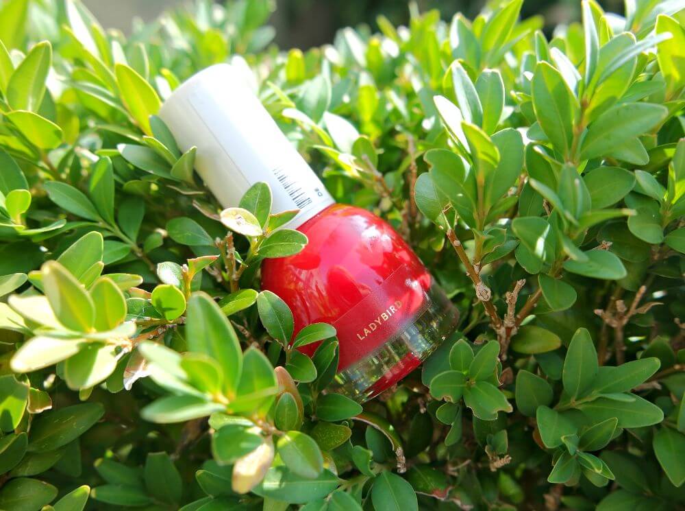 Review H&M Nagellak 2015 Ladybird 
