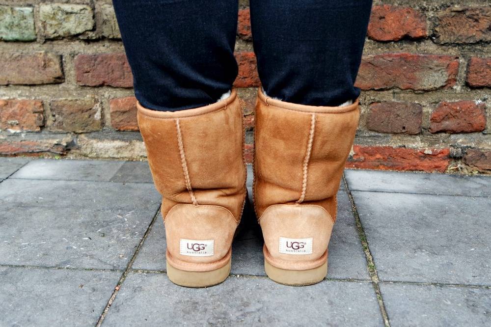 Ugg Classics chestnut short