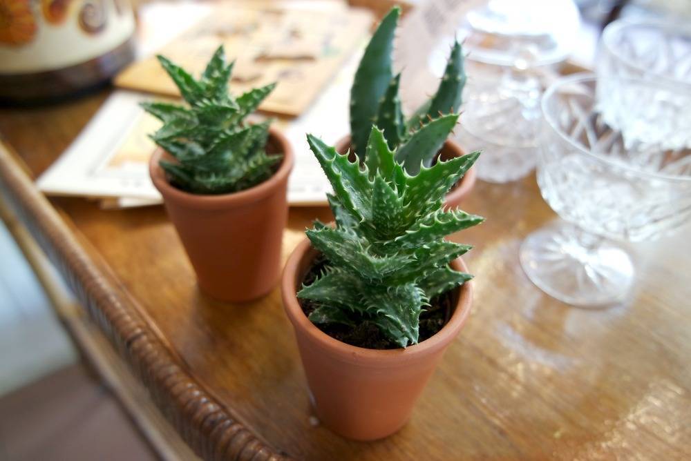 Shop 'n style lancering