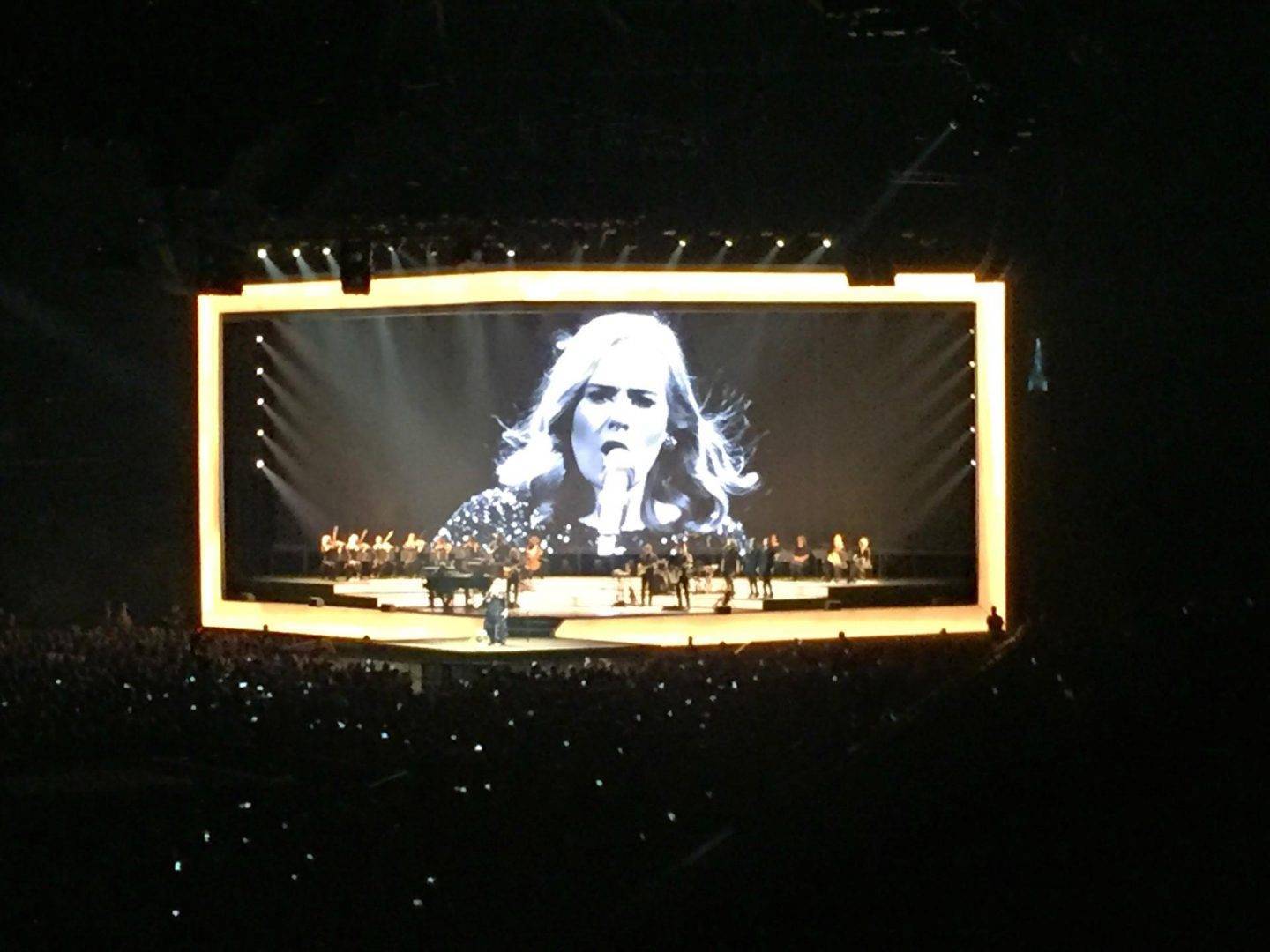 adele in concert