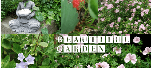 Kletspraatje, inbraak en genieten van bloemen | Maandag Collagedag