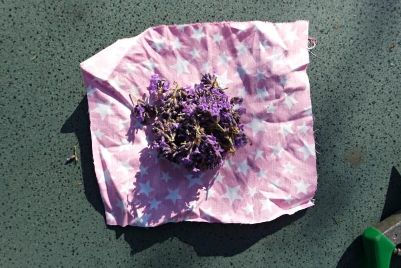 Lavendel DIY
