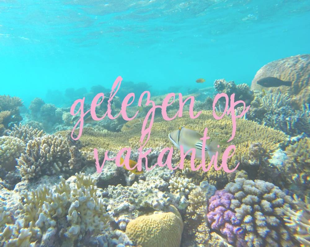 Gelezen tijdens mijn vakantie + winactie