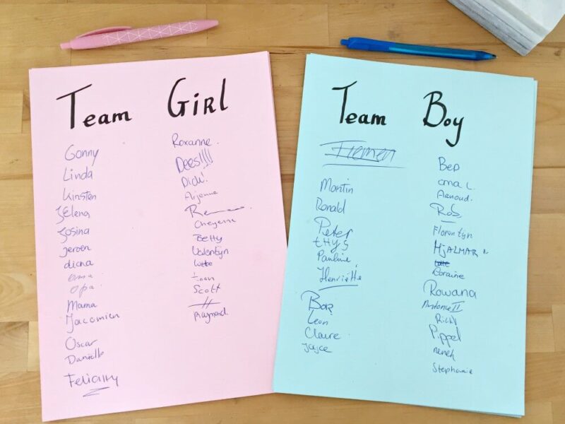 Team Boy : Team Girl
