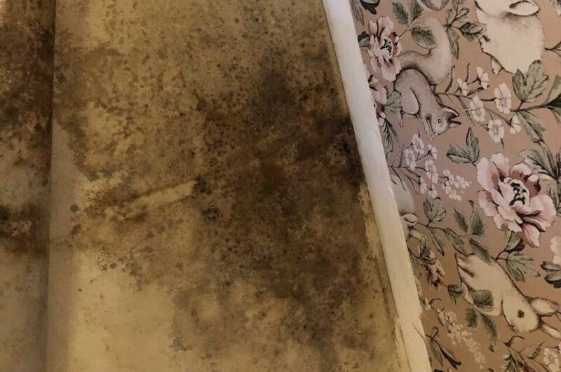 Schimmel op de vloer door lekkage