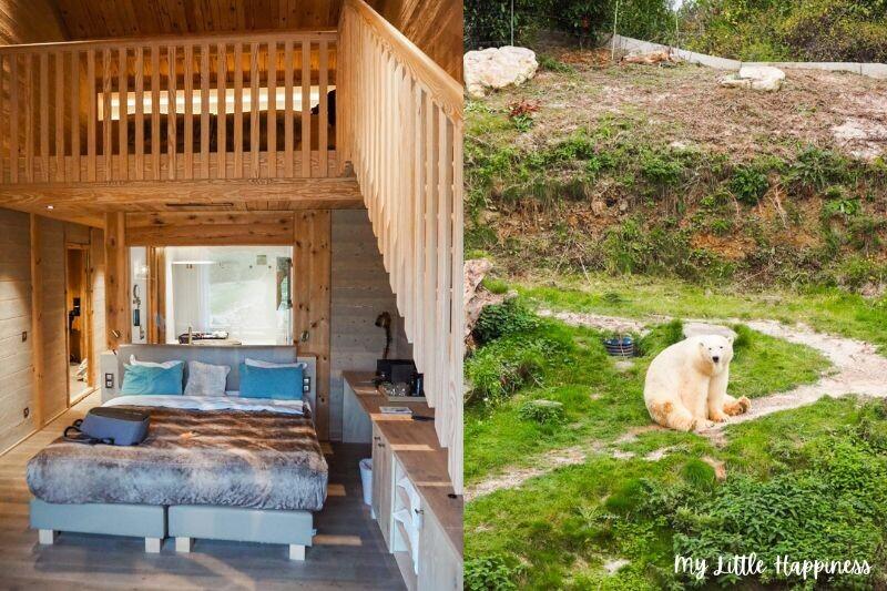 Pairi Daiza overnachten ijsberen in ijsbeer kamer