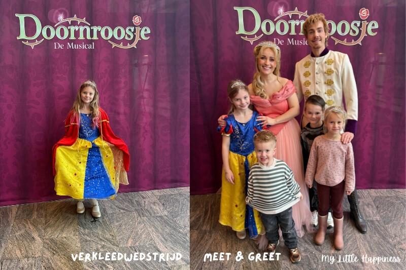 Doornroosje De Musical Van Hoorne Studios 